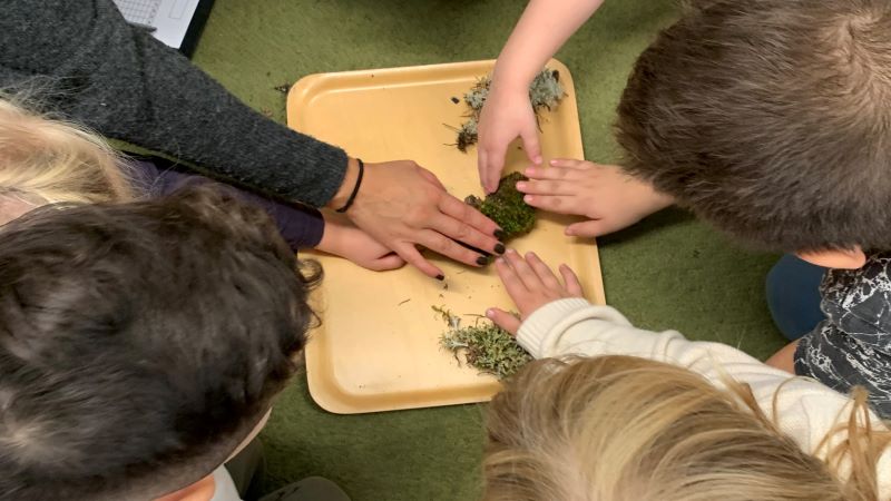 Barn tittar och känner på mossa.