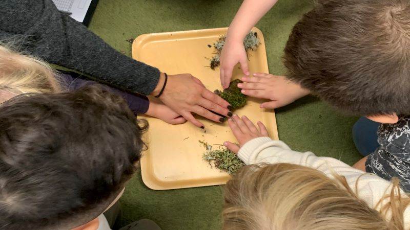 Undersöker naturen Barn tittar och känner på mossa.